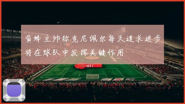 黄蜂主帅称克尼佩尔每天追求进步将在球队中发挥关键作用