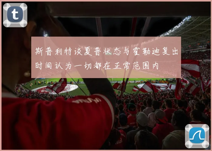 斯普利特谈夏普状态与霍勒迪复出时间认为一切都在正常范围内