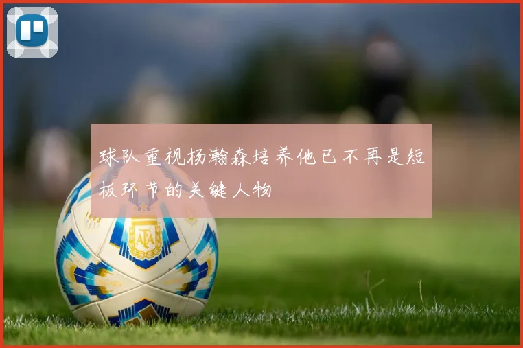 球队重视杨瀚森培养他已不再是短板环节的关键人物